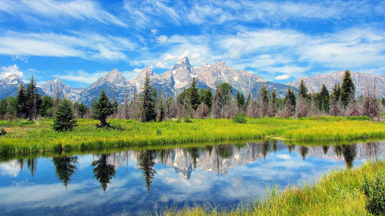 批量注册tiktok账号_tiktok注册账号教程 - tiktok相关 - 55dz账号网