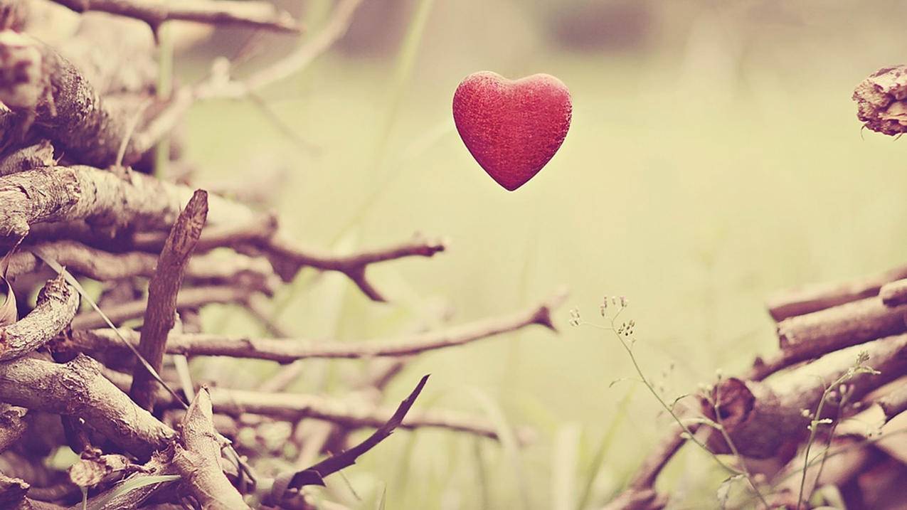 iphone怎么创建越南id（如何创建越南苹果id教程） - 各区苹果ID - 55dz账号网