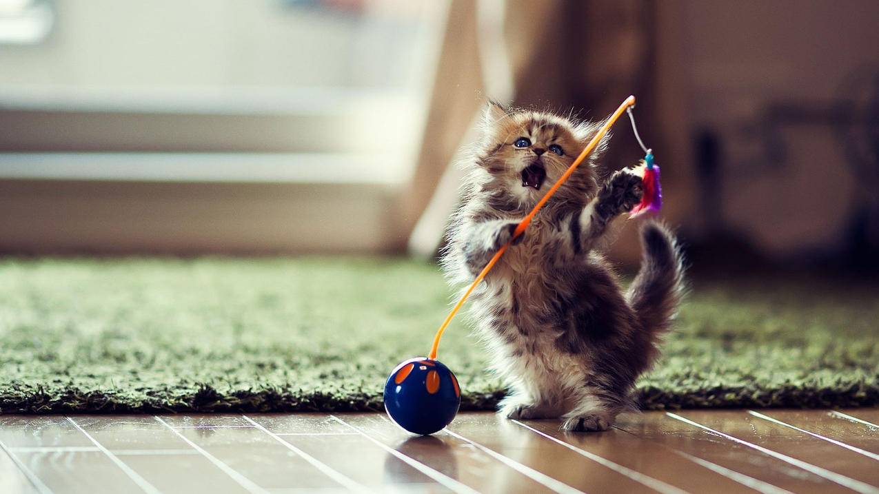 苹果Apple ID登录连接服务器验证失败快速解决方案_海外账号购买网