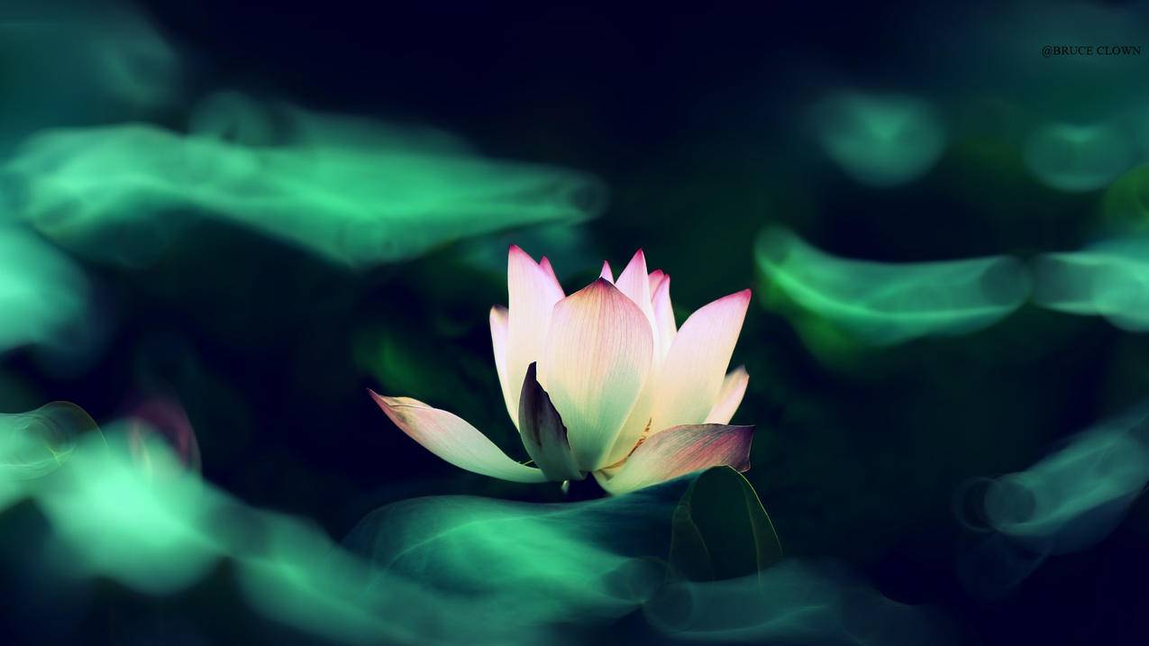 帮抖音刷关注评论兼职免费的 - qq会员刷赞,免费刷空间说说人气