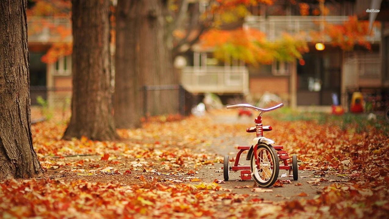 安卓怎么注册新的越南苹果id（怎么注册越南苹果账号） - 各区苹果ID - 55dz账号网