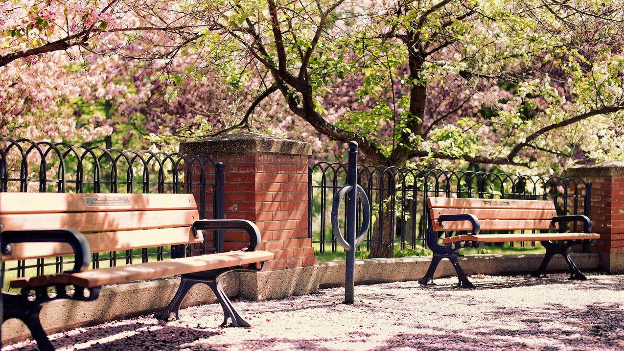 苹果设备更换香港appleid_香港苹果官换机 - 香港苹果ID - 55dz账号网