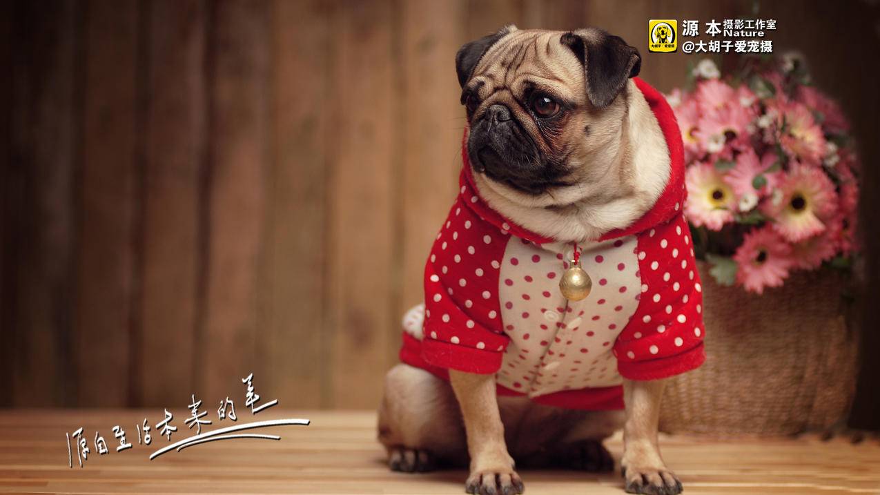 苹果手机id锁了之后又开了,但是出来个六位数的锁屏密码,但是我没设置,那个密 ， 苹果手机的锁屏密码是六位数怎么变成四位数?  - 55dz账号网