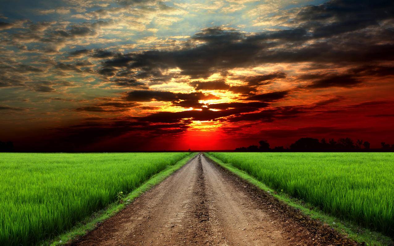 openclash国内网站打不开_openclash国内访问不了 - clash相关 - 55dz账号网