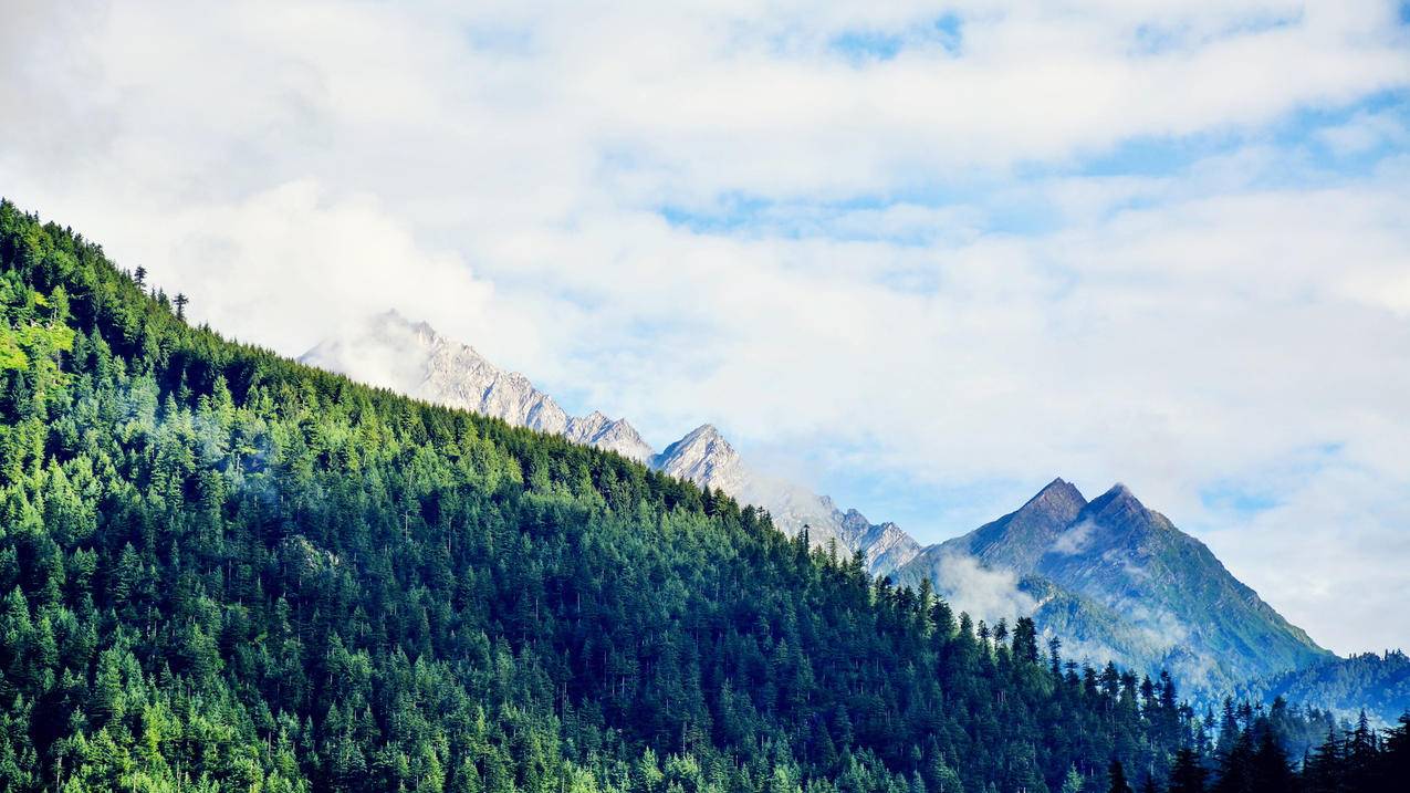 菲律宾apple id受信任号码注销了怎么删除（西瓜视频竖屏版） - 各区苹果ID - 55dz账号网