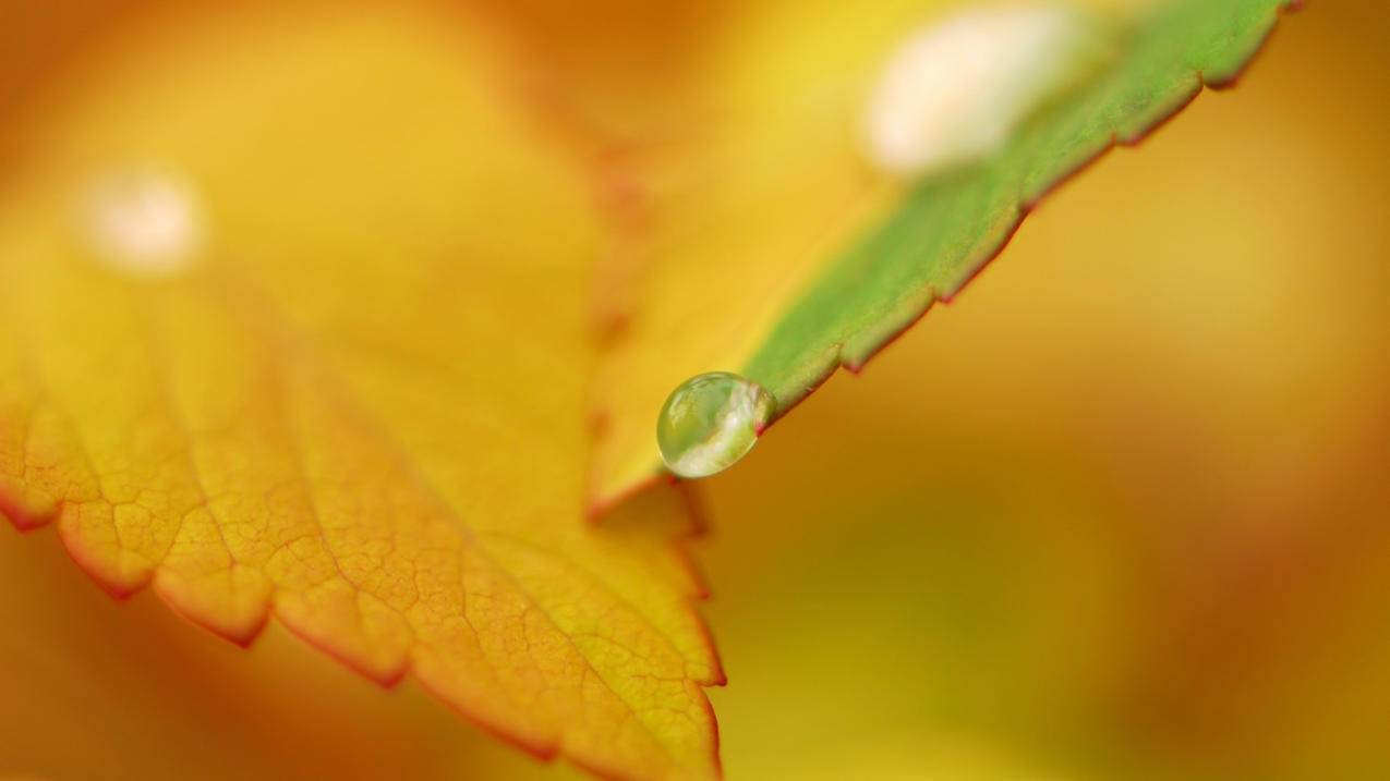 网易免费邮箱登录入口电脑版_网易免费邮箱登录入口电脑版网页 - gmail相关 - 55dz账号网