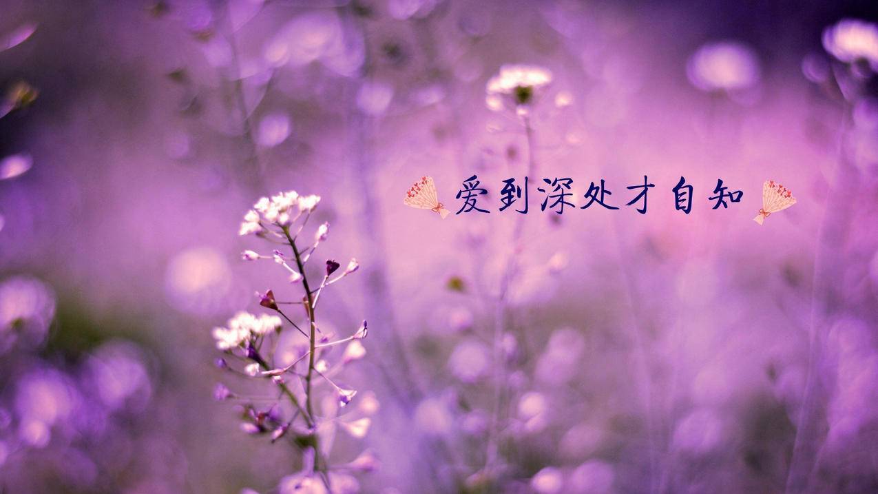 抖音粉丝团1到16级列表  ( 抖音粉丝团1到15级需要多长时间 ) - 55dz账号网