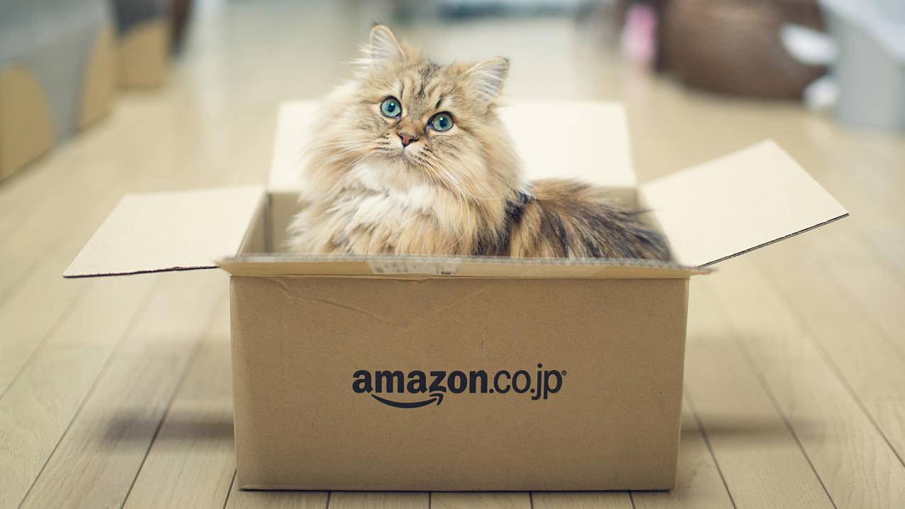 ins怎么设置个人账户_ins怎么切换个人账户 - INS相关 - 55dz账号网