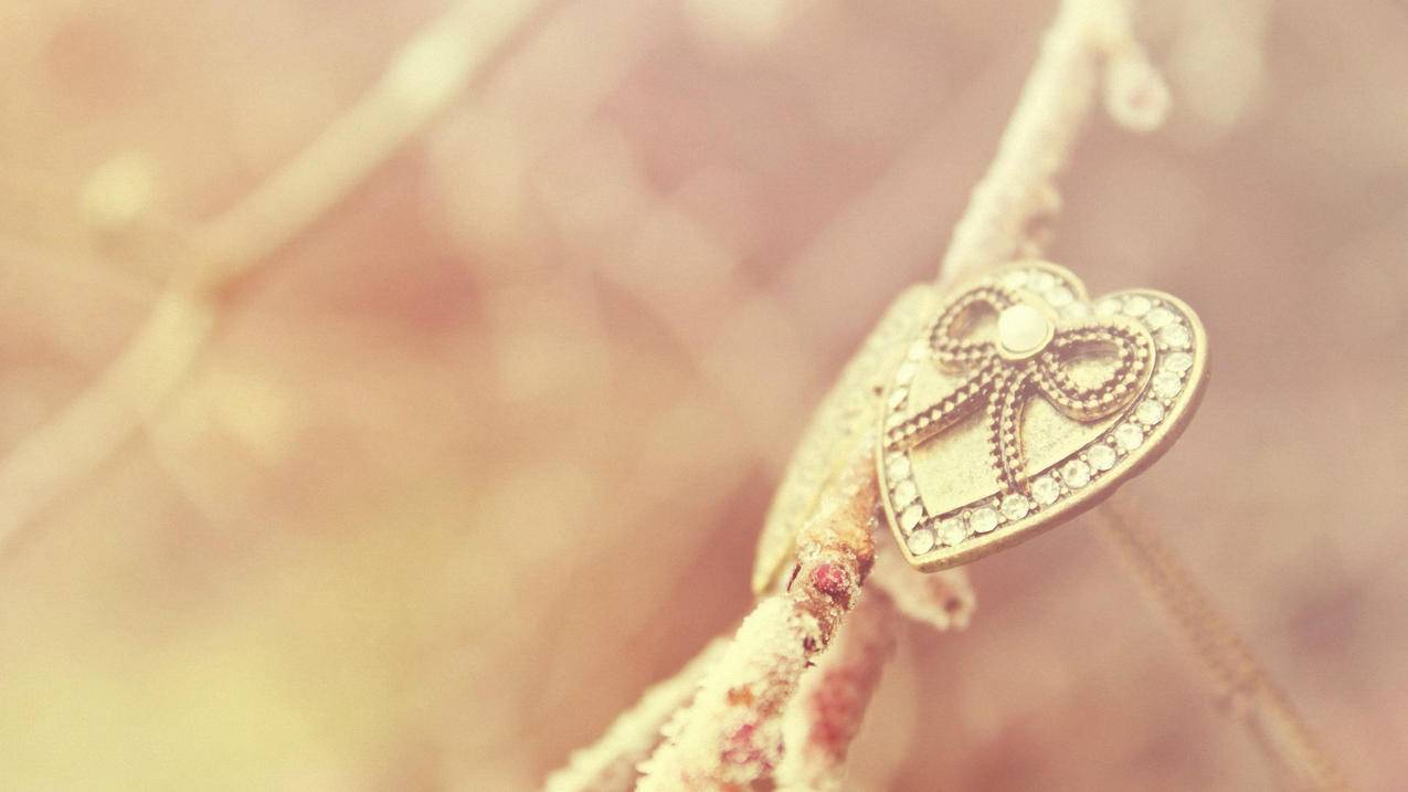 苹果手机一直跳出来验证越南apple id（苹果手机老跳出来验证） - 各区苹果ID - 55dz账号网