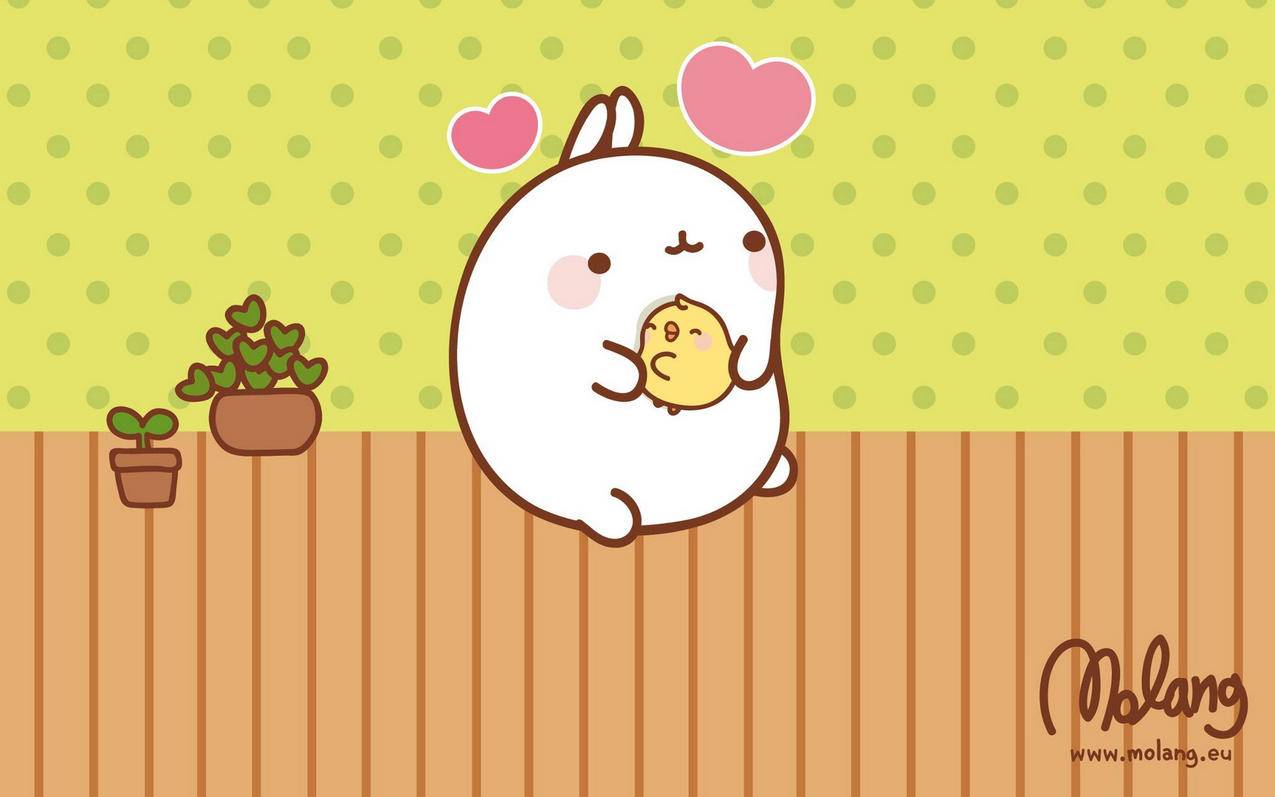 google浏览器百度网盘_Google 百度网盘 - google相关 - 55dz账号网