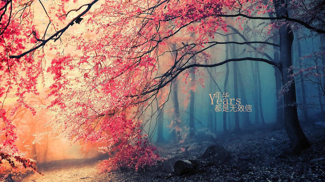 表示词性的词根词缀_词性词根后缀归纳 - messenger相关 - 55dz账号网