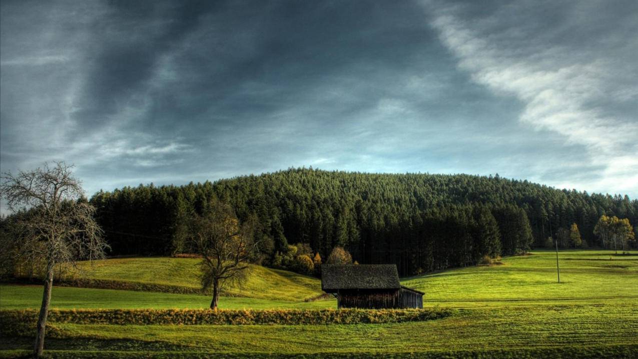 nba2k22卸载了存档还在吗_2k21卸载后存档 - IOS分享 - 55dz账号网