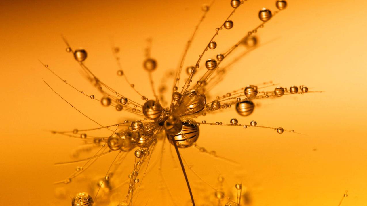 苹果id锁如何解除 ， 二手苹果手机怎么解id锁。?  - 55dz账号网