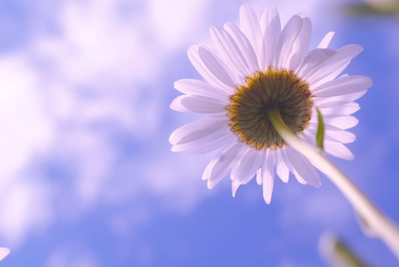 注册ins出现红条_注册ins出现红条怎么办 - INS相关 - 55dz账号网