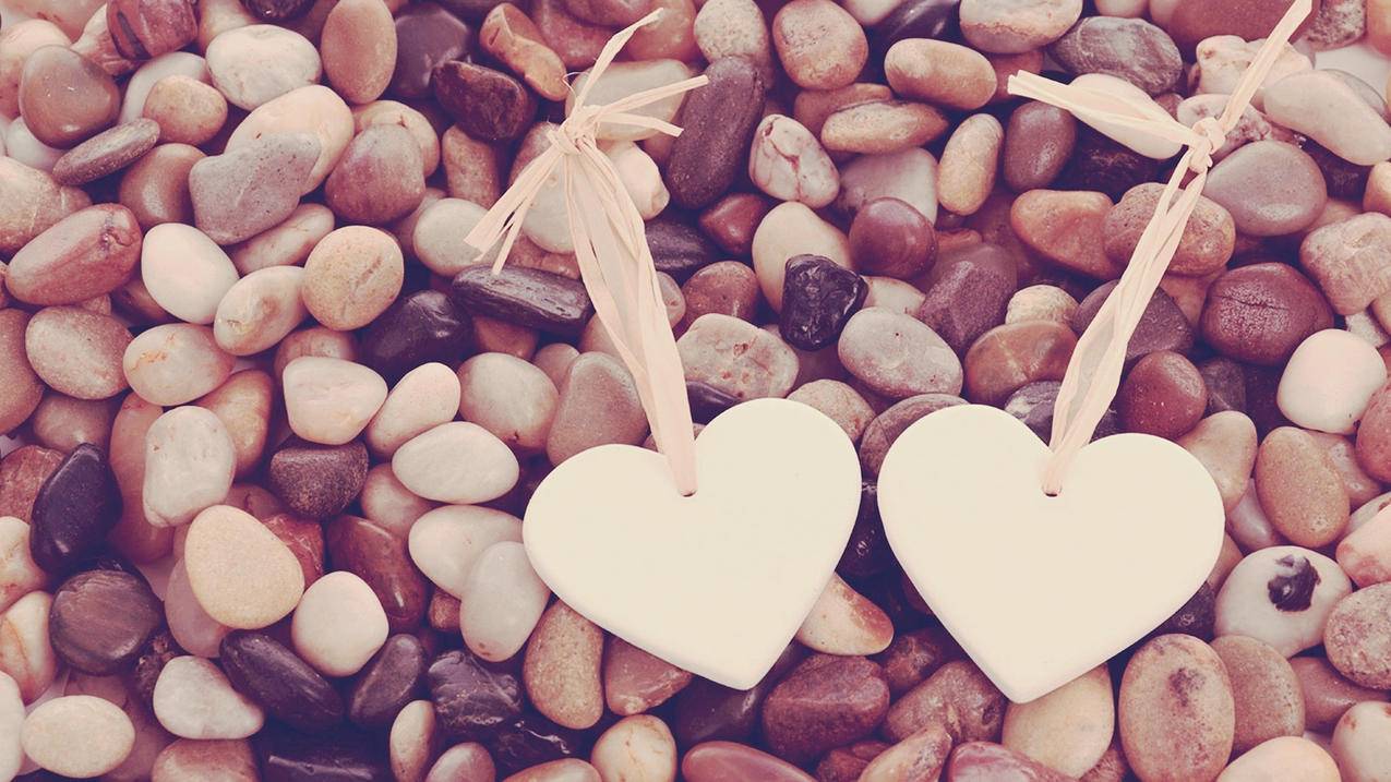 tiktok加独立站链接为什么打不开_tiktok可以放链接吗 - tiktok相关 - 55dz账号网