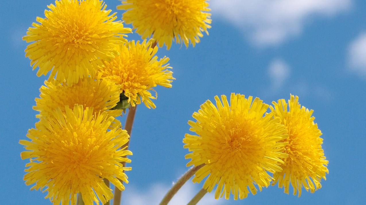 zoom苏州公司地址_zoom苏州面试 - zoom相关 - 55dz账号网