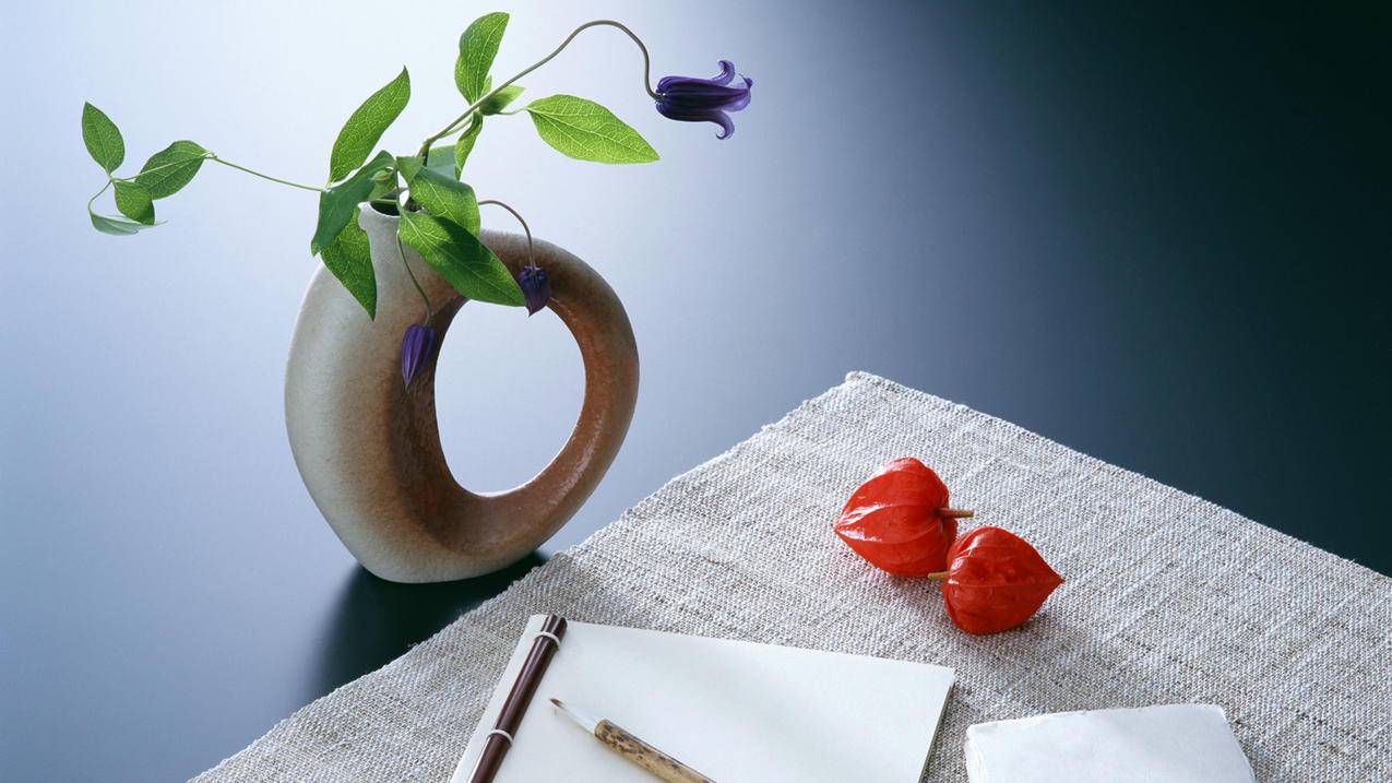 苹果id下载不了应用怎么办? ， 为什么苹果ID不能下载应用  - 55dz账号网