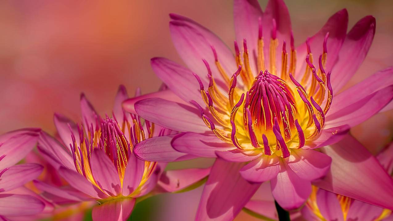 googleplay有些应用搜不到_googleplay已安装看不到应用 - google相关 - 55dz账号网