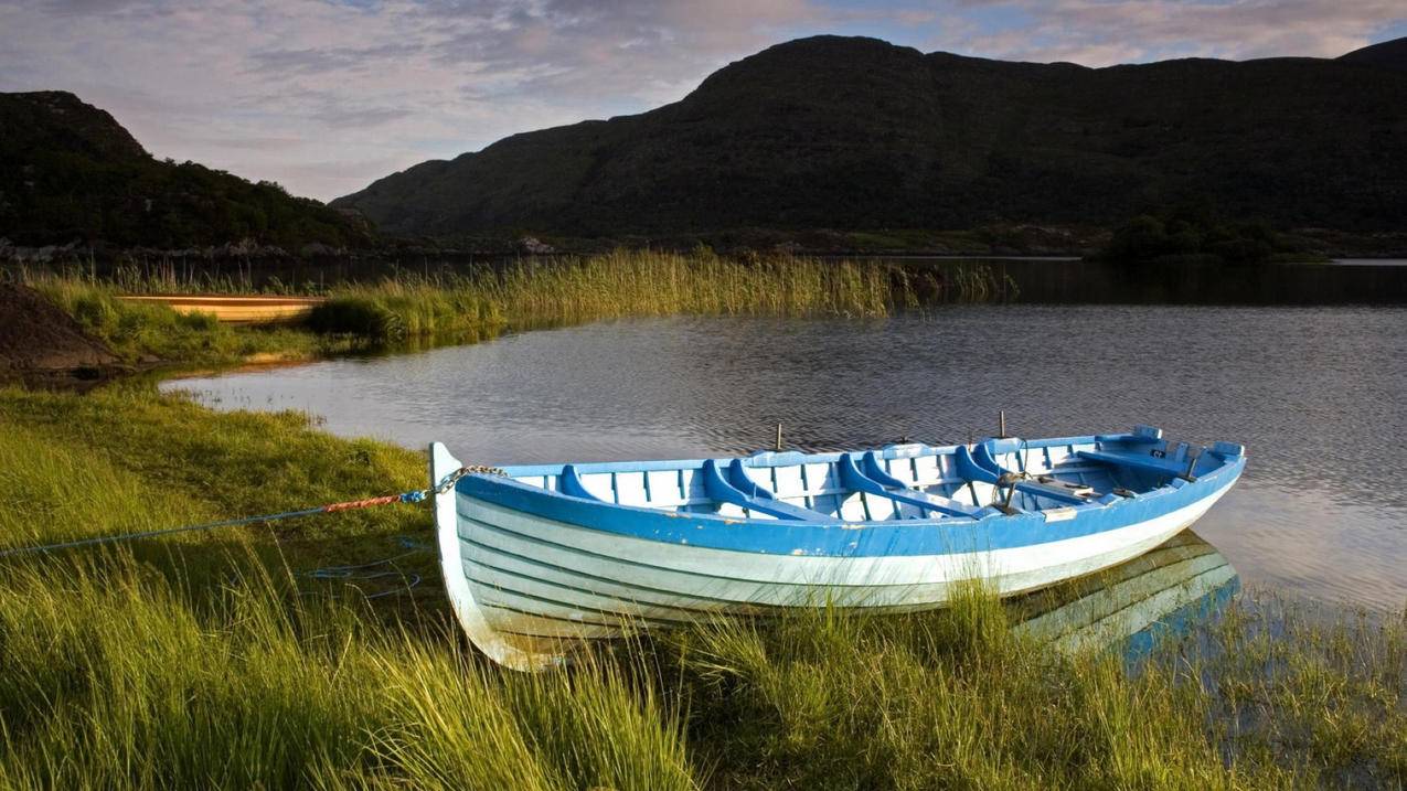 耐克zoomwinflo5评测_ZOOM WINFLO 5 - zoom相关 - 55dz账号网