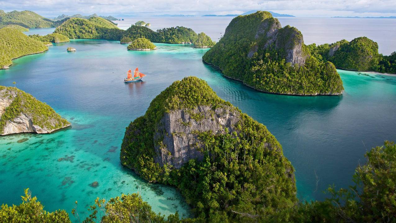 小红书如何给粉丝互动 - 自助平台 - dy业务网