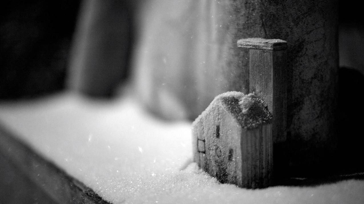 tiktok多久能提现一次_tiktok提现要绑卡吗 - tiktok相关 - 55dz账号网