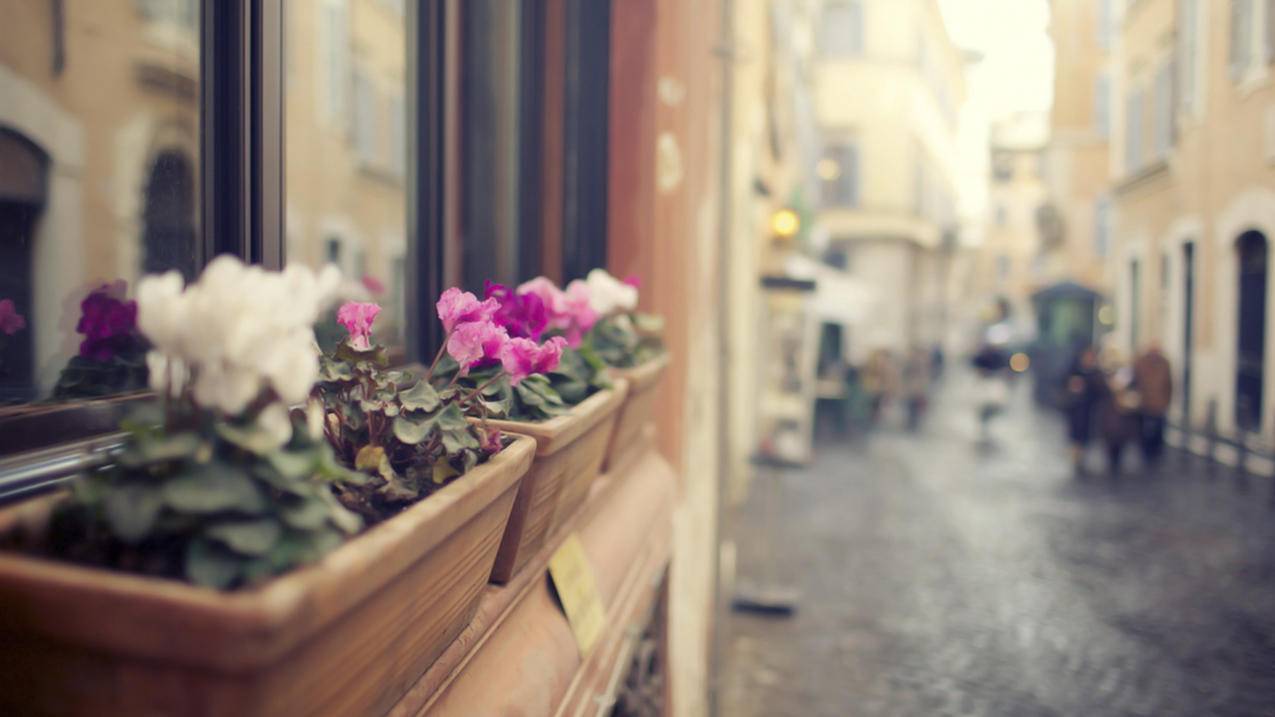 小红书如何上传店铺视频 - 自助平台 - dy业务网