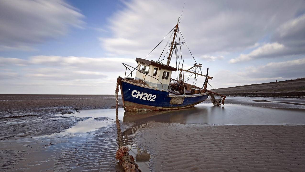 苹果手机的id账号密码忘记了怎么办 ， 苹果手机id密码忘记了要怎么解除绑定  - 55dz账号网