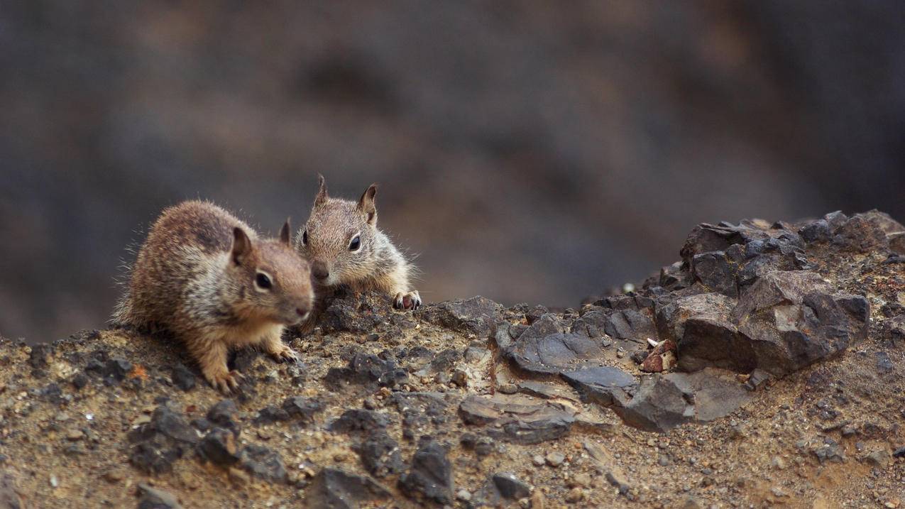 率土之滨美国苹果id怎么换手机登录_率土之滨苹果id登陆 - 美国苹果ID - 55dz账号网