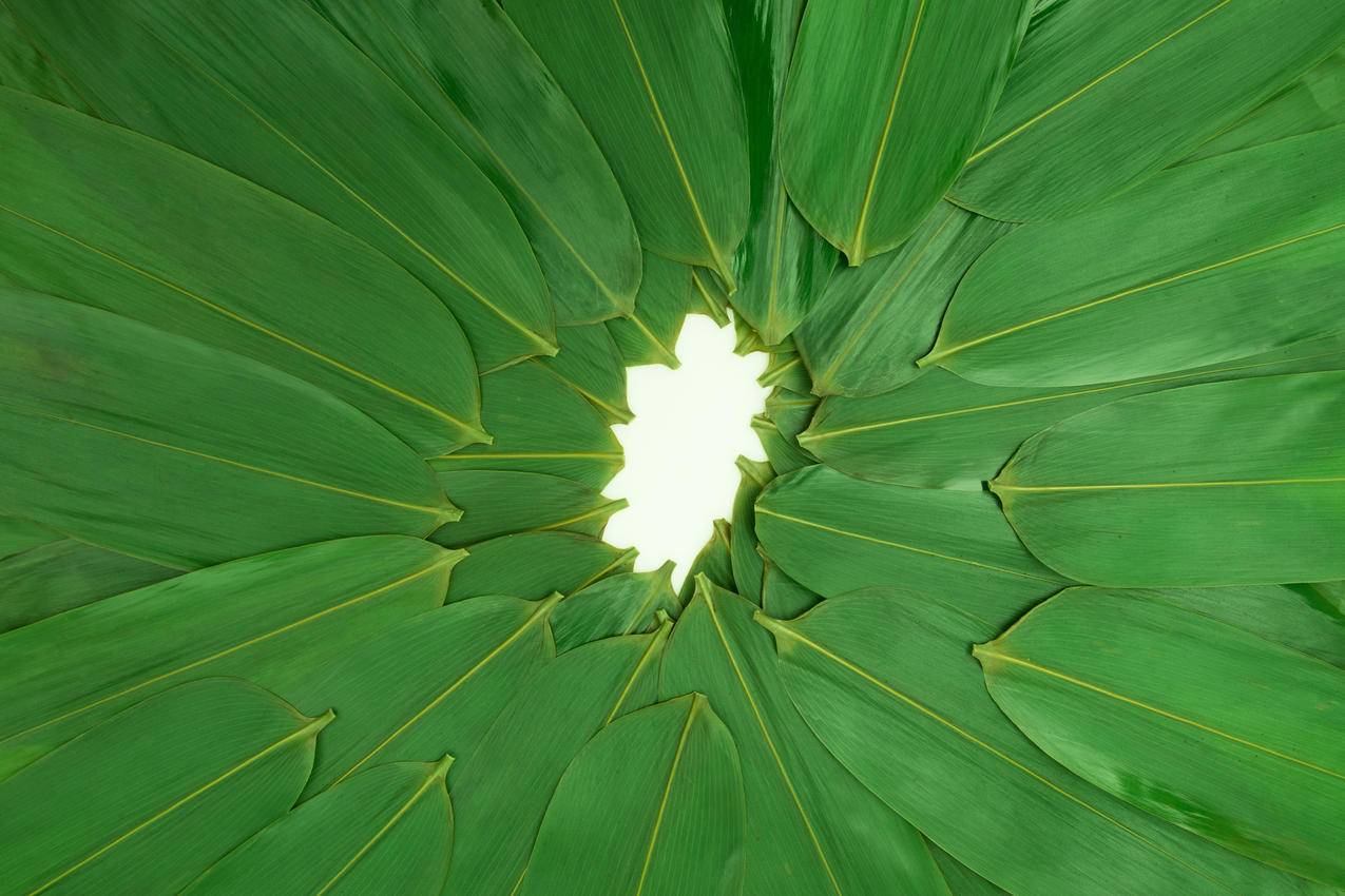 菲律宾apple id密码设置规则（怎么注册菲律宾苹果id） - 各区苹果ID - 55dz账号网