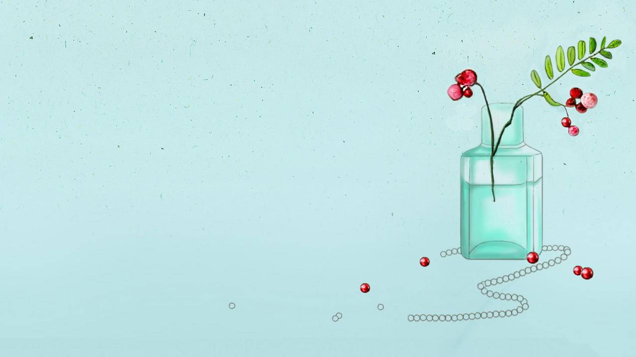 google浏览器如何设置青少年保护  ( 谷歌浏览器验证年龄 ) - 55dz账号网