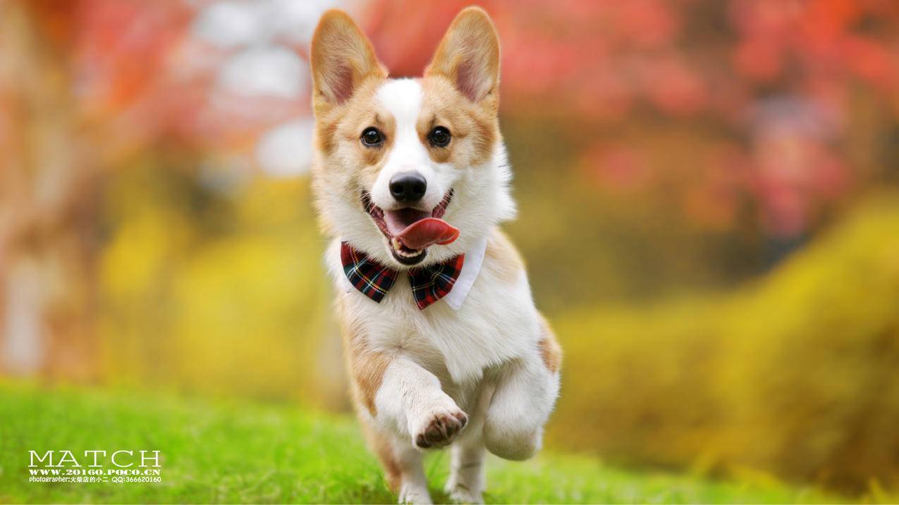 小学数学利润计算公式及方法是什么？ - 小学教育 - ks24小时自助