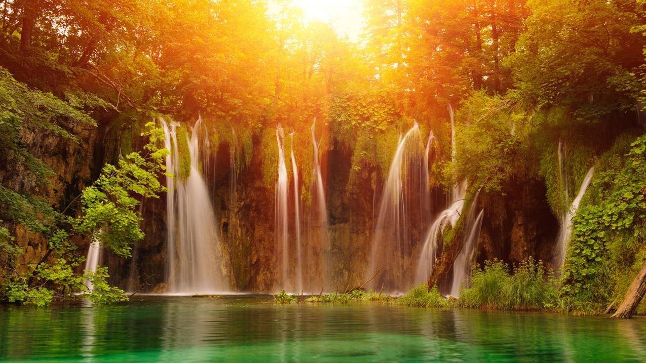 越南苹果id在苹果商店禁用什么意思 - 各区苹果ID - 55dz账号网