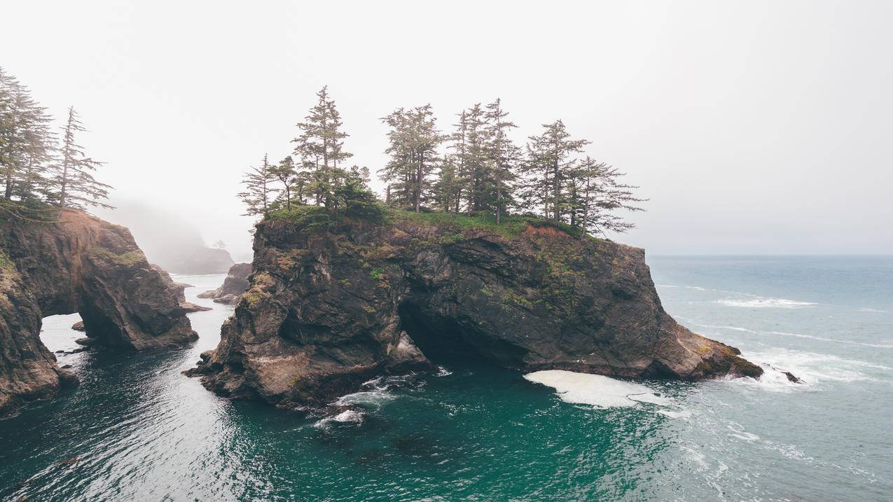 ins书包店铺推荐_ins书包什么意思 - INS相关 - 55dz账号网