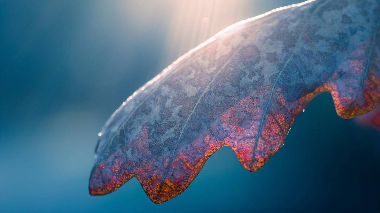 更新台湾appleid设置一直在转圈圈_苹果更新apple id设置一直转圈圈 - 台湾苹果ID - 55dz账号网