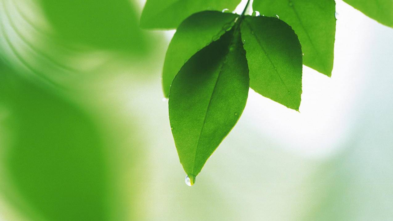 appleid的手机号不用了怎么换号_苹果id更换不了手机号 - Apple ID相关 - 55dz账号网