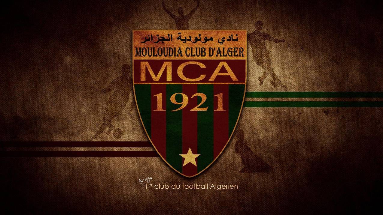 educodemaocn编程猫手机怎么登录  ( 火箭影视怎么注册账号 ) - 55dz账号网