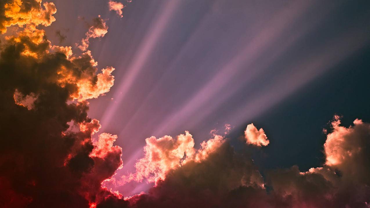 google游戏账号怎么注册_手机谷歌游戏账号怎么注册? - google相关 - 55dz账号网