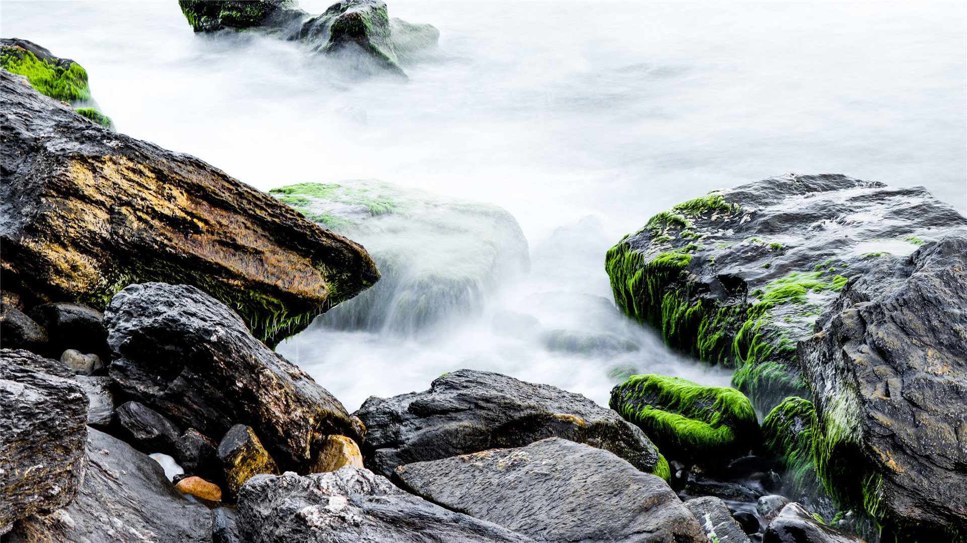 苹果手机退出appleid后可以正常使用吗? ， 苹果id退出后可以正常使用吗?  - 55dz账号网