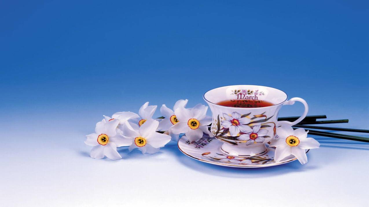 zoom音乐r1se_zoom音乐谐音 - zoom相关 - 55dz账号网