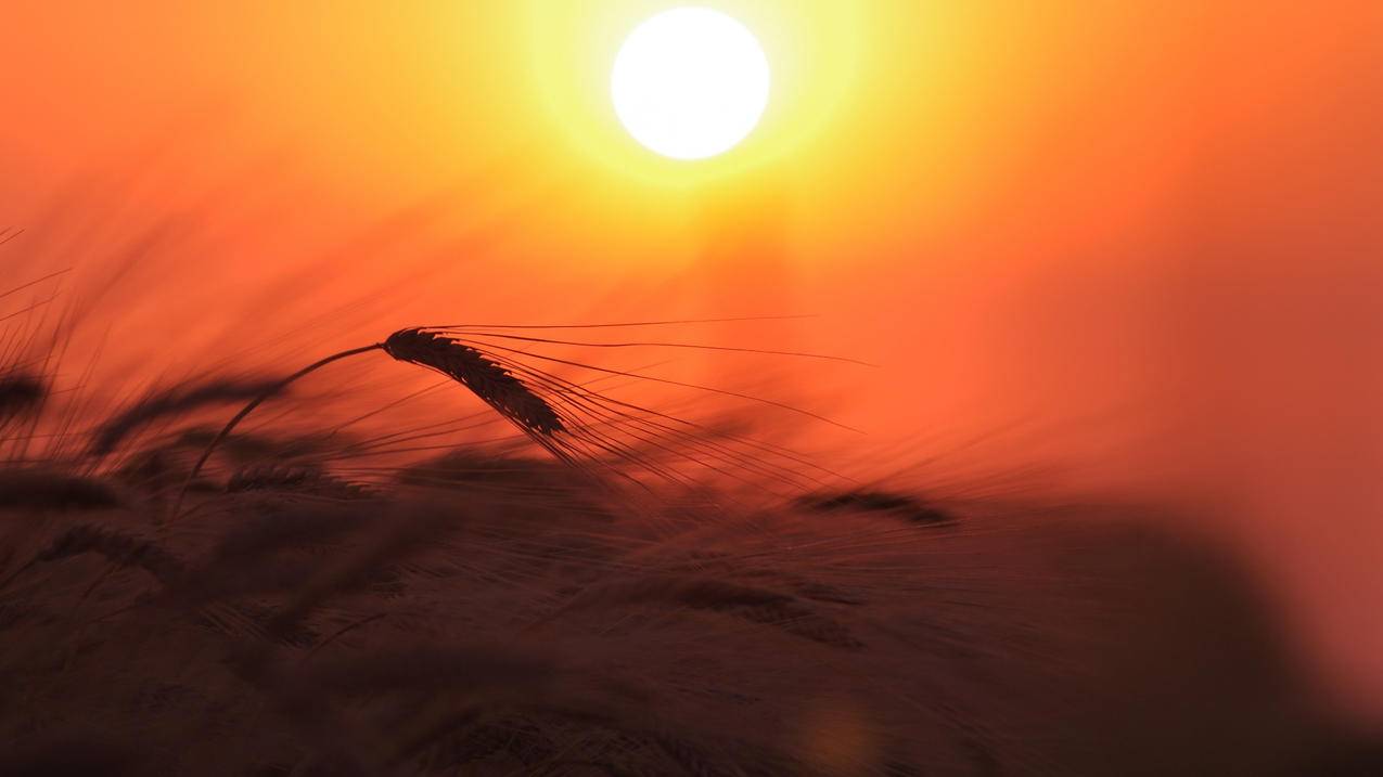 抖音人气卡蒙 - 快手赞自助下单平台网站,快手点赞24小时秒单业务平台,qq名片空间说说赞一元一万