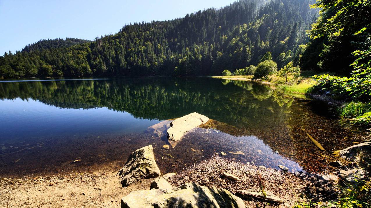 tiktok直播带货怎么样_tiktok能直播么 - tiktok相关 - 55dz账号网