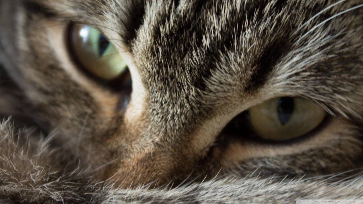 电脑截图格式后缀_截图文件后缀 - gmail相关 - 55dz账号网