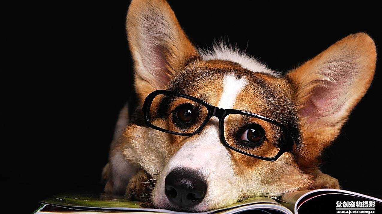 玩tiktok用什么梯子_tiktok梯子推荐 - tiktok相关 - 55dz账号网