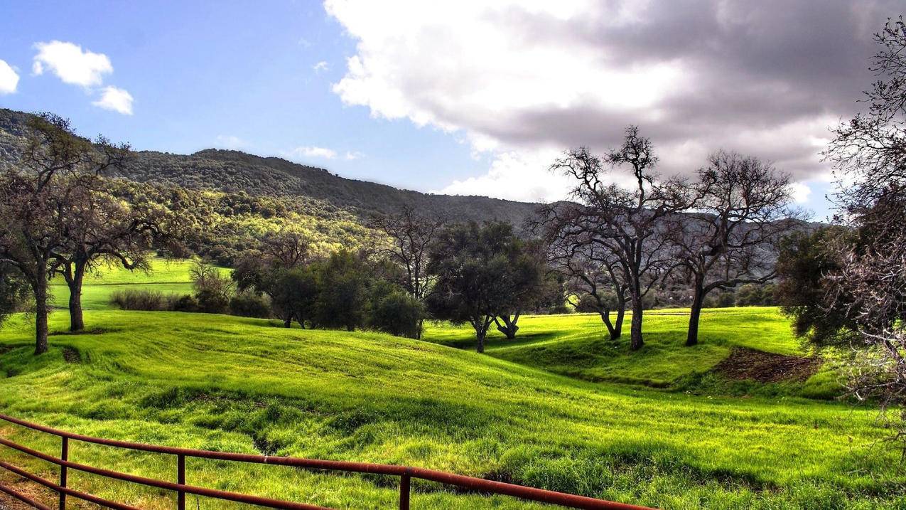 iphone安装爱思助手好不好_苹果可以装爱思助手吗 - skype相关 - 55dz账号网