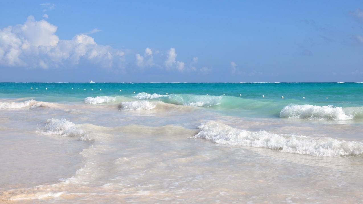 苹果手机id格式是什么样的 ， 苹果电子邮件格式怎么写苹果电子邮件格式的写法  - 55dz账号网