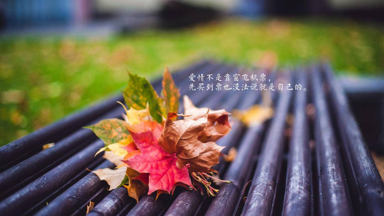 如何在初中阶段培养对数学的兴趣？ - 初中教育 - ks24小时自助