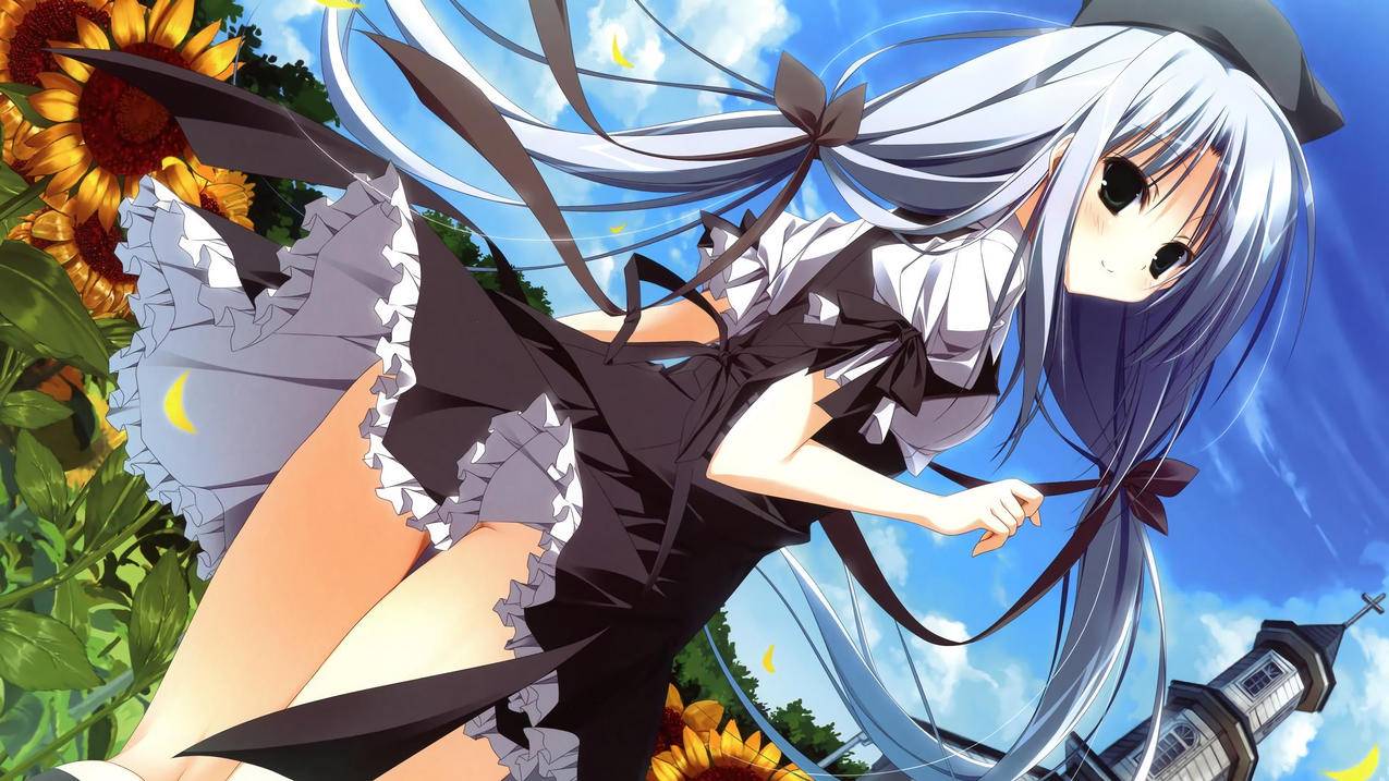 skypeforbusiness2016什么意思_skypeforbusiness是什么 - skype相关 - 55dz账号网