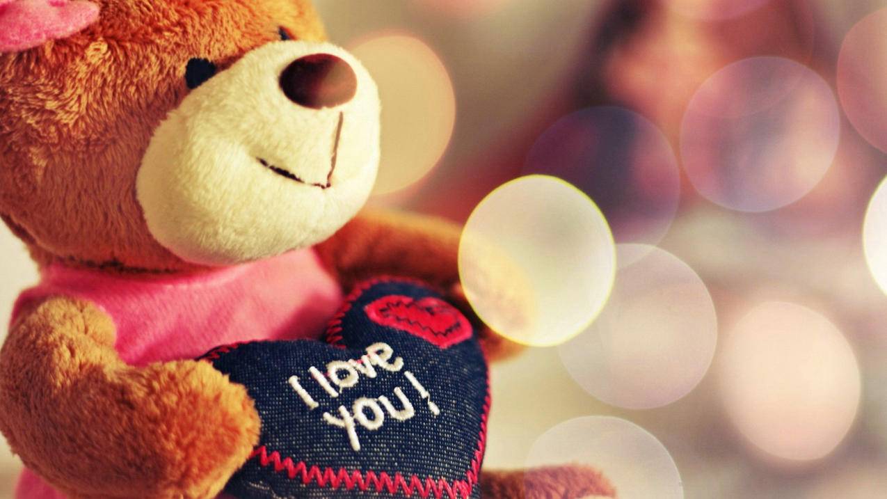 notability贴纸怎么导入笔记_notability怎么保存贴纸 - IOS分享 - 55dz账号网