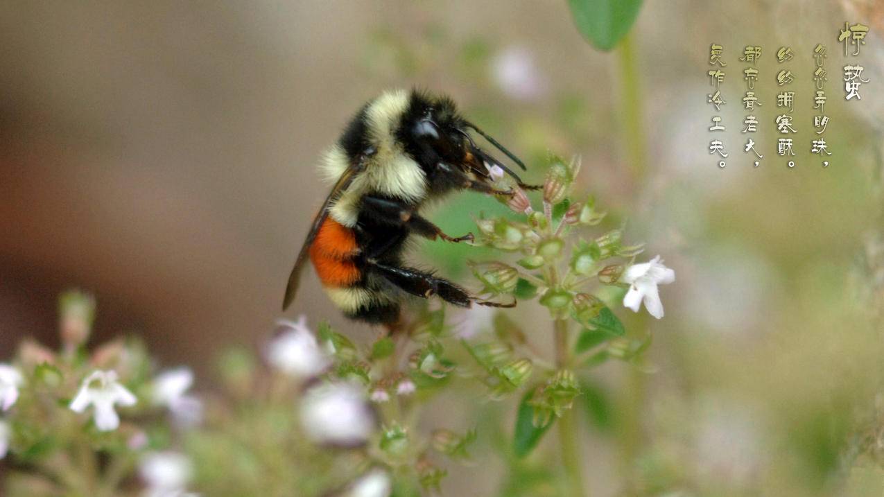 日本appleid不是我的邮箱_日本苹果id邮箱 - 日本苹果ID - 55dz账号网