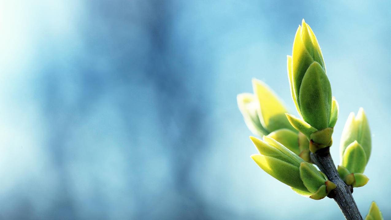 千川计划如何下载表格？ - 低价业务 - dy业务网